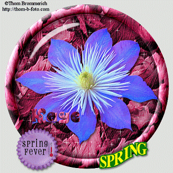 2010 05 31a Spring Fever 01b
