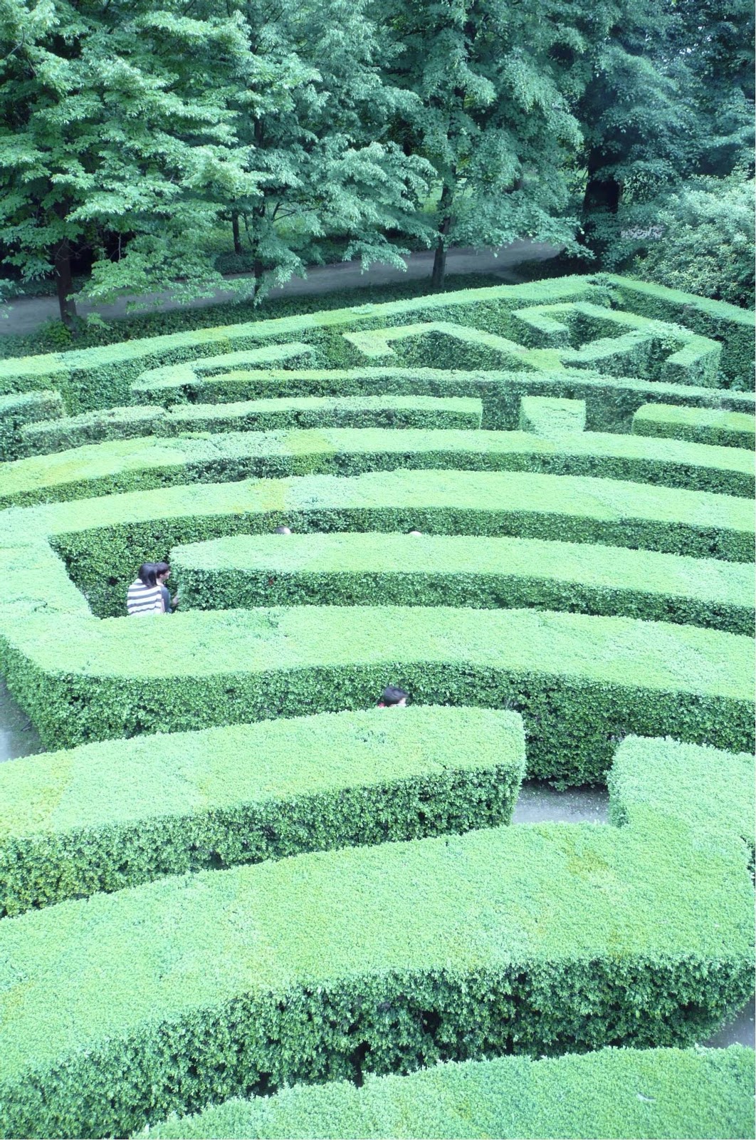 [20100513.jpg]