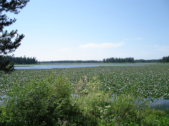 DSC01618.JPG