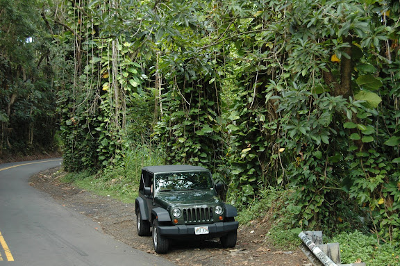 DSC_0671.JPG