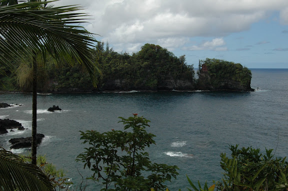 DSC_0687.JPG