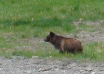 DSC01302.JPG