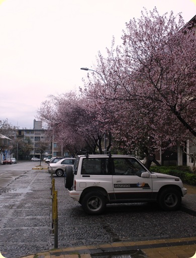DSC05083