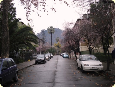 DSC05085