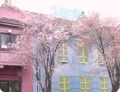 DSC05055
