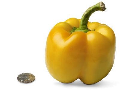 [week 18 pepper[2].jpg]