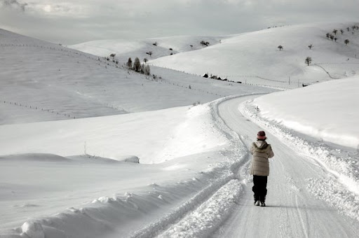 planina_zlatibor_zimi_sneg.jpg