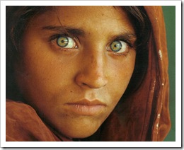 afghan girl afghan girl