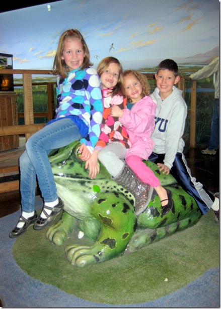 IMG_1846 IMG_1846