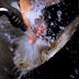 Toshimi Horiguchi - NS Eyes 343 (19/75) (48)