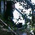 Toda Erika - Be Natural (39/130) (44)