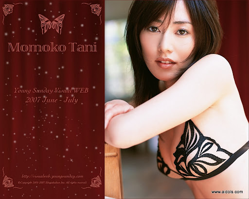 Momoko Tani - YS-Web - Vol.213 F Cup (2/80) (2/80)