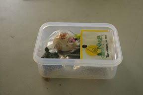 Treasure box
