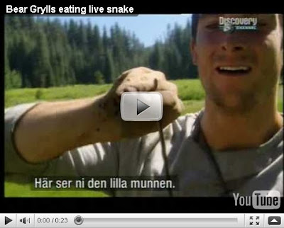 bear grylls eating live snake.jpg