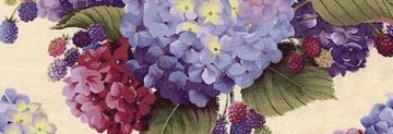 [lh_hydrangea_raspberry_plum_4x4[1].jpg]