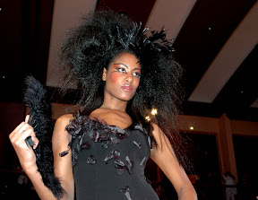 Pr&eacute;sentation de la collection coiffure Extravaganza (printemps-&eacute;t&eacute; 2008) &agrave; Evian par Christine...