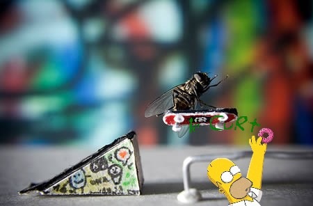 [a96986_a607_12-fly[4].jpg]