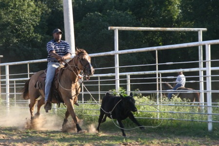 [IMG_1483_18_1[3].jpg]