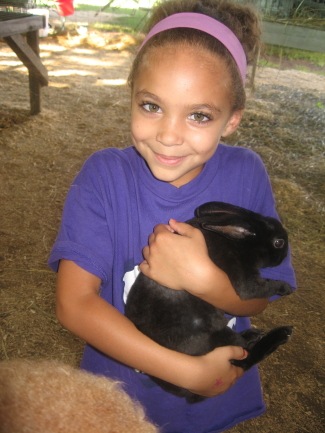 [IMG_3742_8_1[2].jpg]