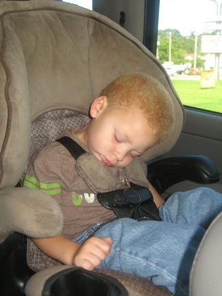 [IMG_3731_7_1[2].jpg]