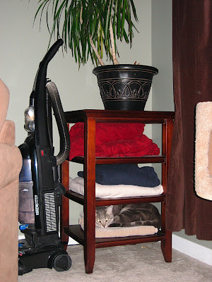 Romeo disguises himself as a blanket