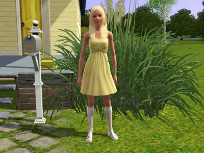 A beautiful blonde girl standing beside a mailbox. Behind her to her right is a yellow house; to her left is a scenic vista.
