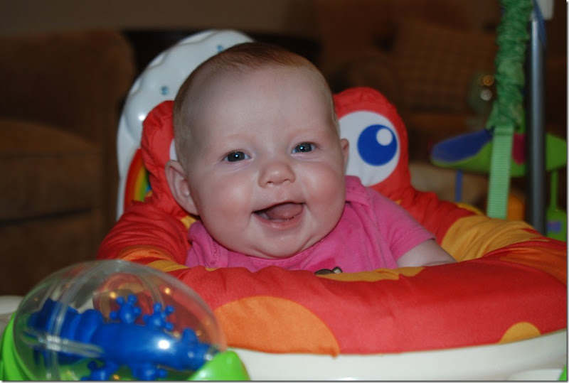 DSC_0647 DSC_0647