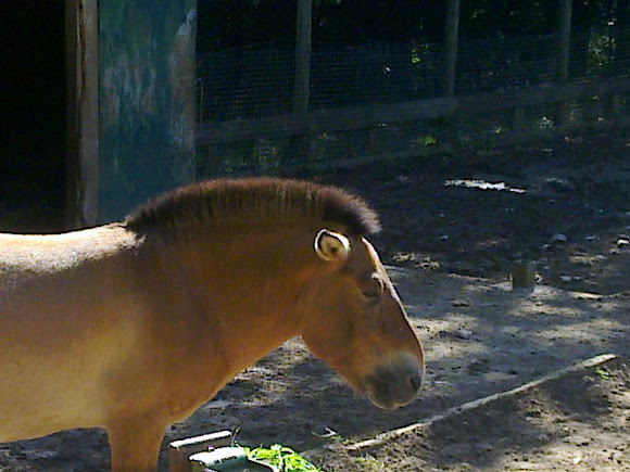 Spotting Image 1