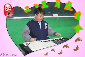 琴藝表演