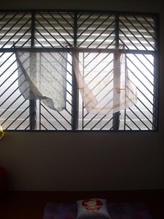 IMG_3638 IMG_3638