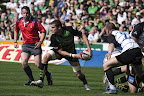 rugby