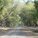DSC02221.JPG