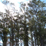 DSC02110.JPG