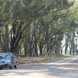 DSC02235.JPG