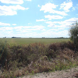 DSC02090.JPG