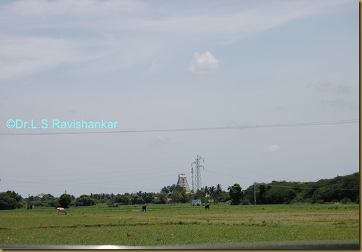 DSC_6098 DSC_6098
