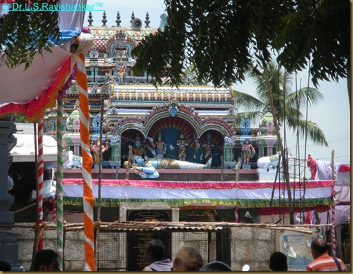 DSCN1890 DSCN1890