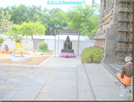 DSCN1826 DSCN1826