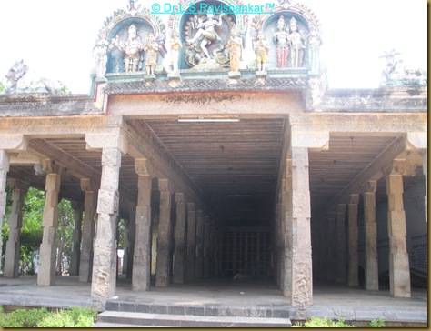 DSCN1831 DSCN1831