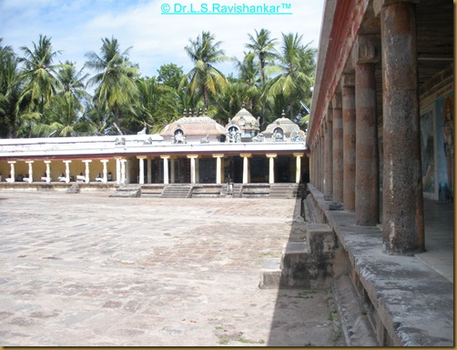 DSCN1833 DSCN1833