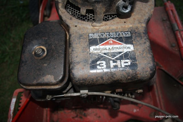 [Linked Image from lh6.ggpht.com]