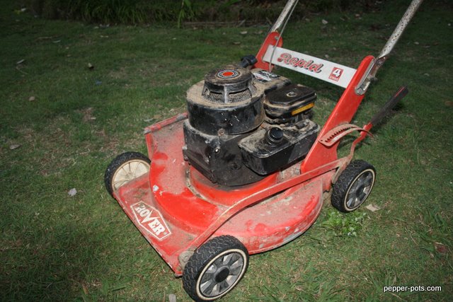 [Linked Image from lh6.ggpht.com]