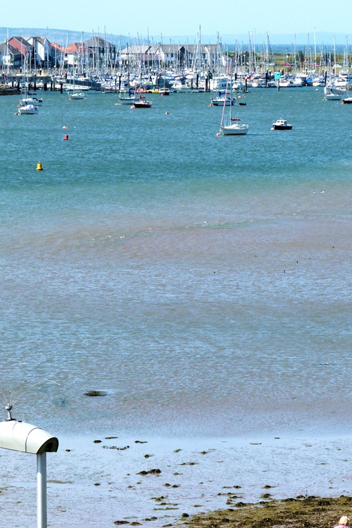 [estuary 044[4].jpg]