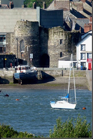 estuary 013