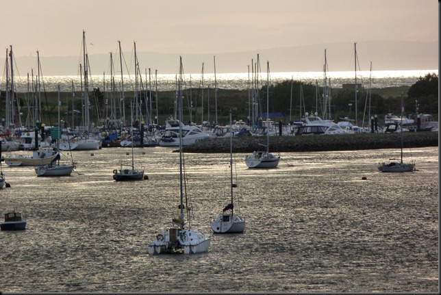 estuary 008