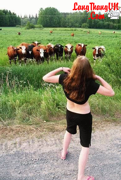 Thư Giãn Tý Nào ACE !!! - 11