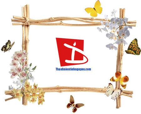 aohaiday.com - Khung hình hoa cỏ...