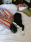 P1030534.JPG
