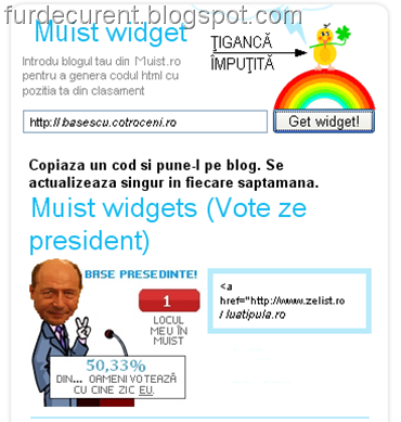 widget nou