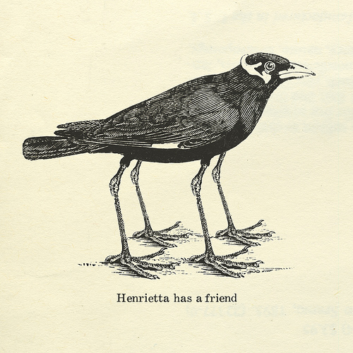Henrietta has a friend...